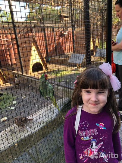 Экстренная няня с мед. образованием и опытом