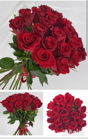 Розы 25 штук 60 см