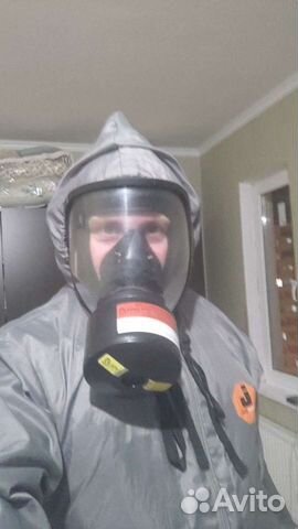 Дезинсекция насекомые, тараканы, клопы, муравьи