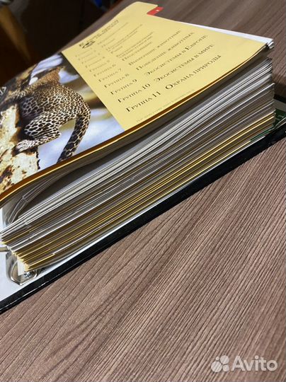 Энциклопедия