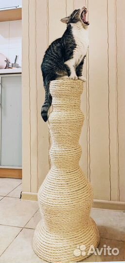 Когтеточка