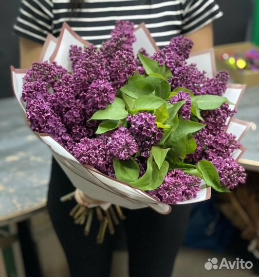 Сирень/ букет сирени/ цветы с доставкой