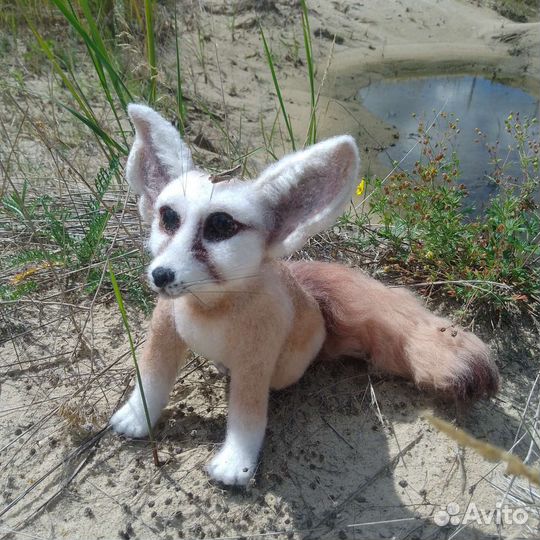 Лисенок Фенёк