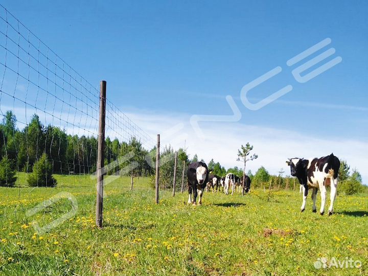 Столб 60х40х1,2мм. L 2м., для шарнирной сетки