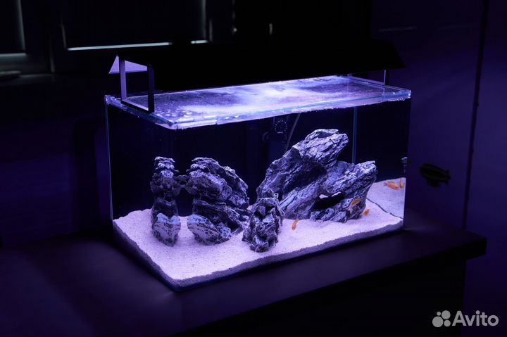 Deksi гроты для аквариума