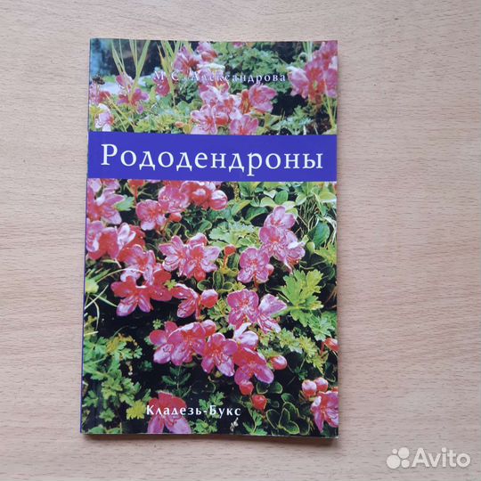 М.С.Александрова 