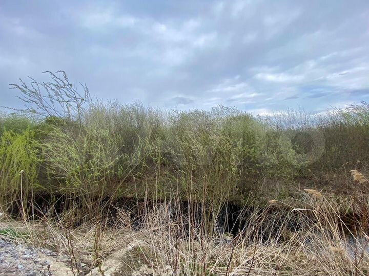 Участок 8 сот. (СНТ, ДНП)