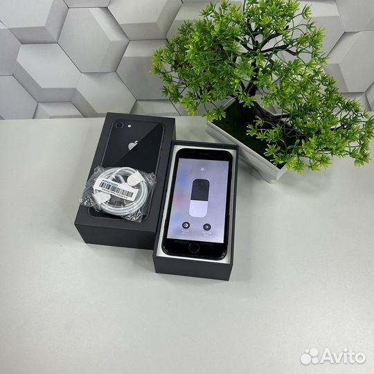 iPhone 8, 64 ГБ