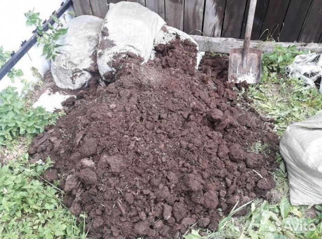 Навоз и перегной