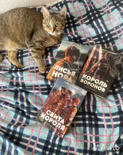 Все ради игры / лисья нора