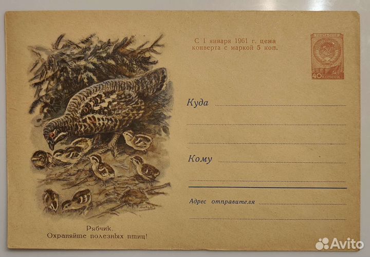 Художественный маркированный конверт СССР. Фауна