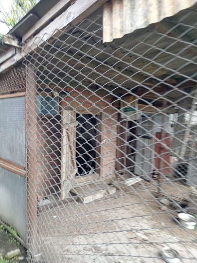 Коттедж 110 м² на участке 7 сот.