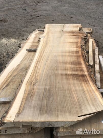 Карагач. доска не обрез обрез