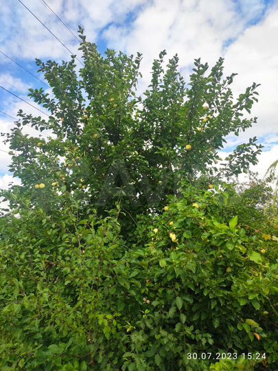 Дом 25 м² на участке 6 сот.