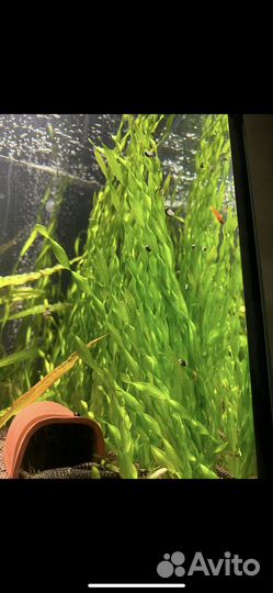 Аквариум с тумбой