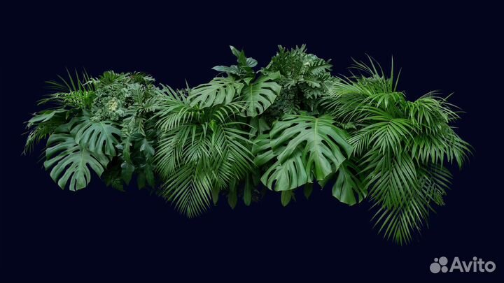 Фотошоп, Редактирование фото,Ретушь