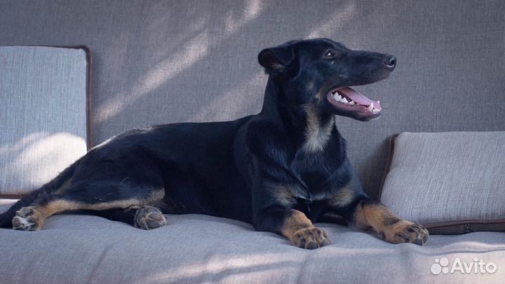 Очень хорошей девочке нужна семья