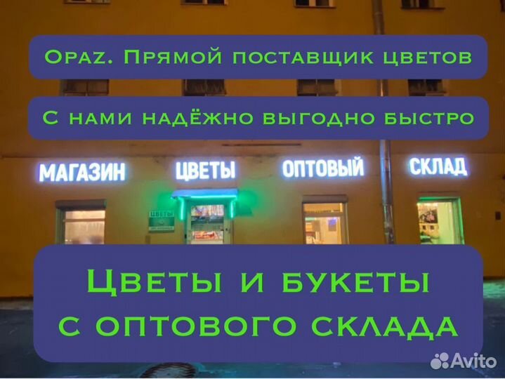 101 роза 70см Цветы и букеты с доставкой