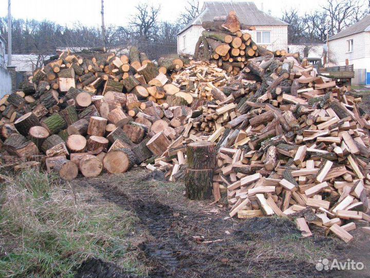 Дрова твердых пород 1500за куб