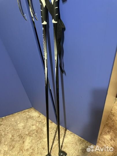 Лыжные палки