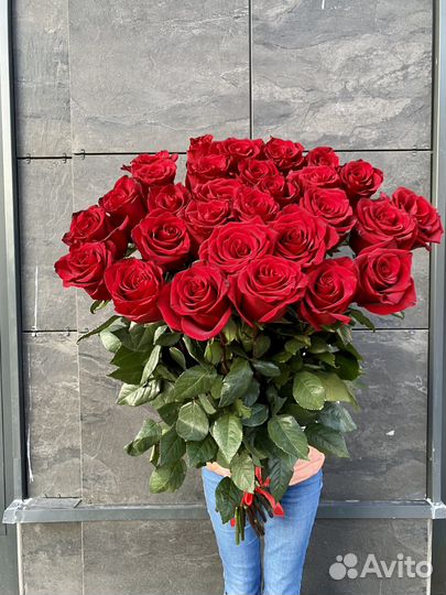 Роза розы премиум букет 51 101 21 35 доставка