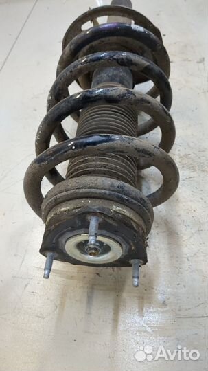 Амортизатор подвески Ford Transit 2014, 2014