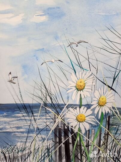 Акварель Ромашки