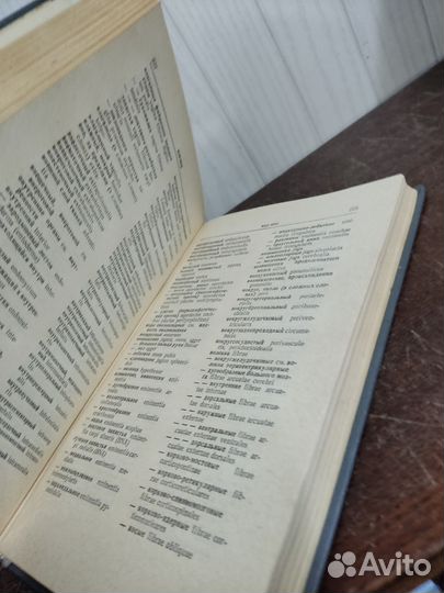 Анатомический Словарь. Т. Казаченок