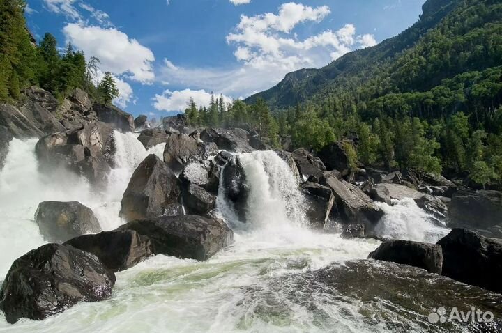 Тур путевка Горный Алтай на 6 ночей