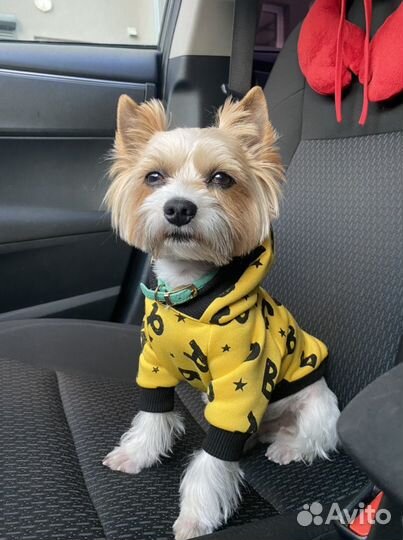 Бивер вязка