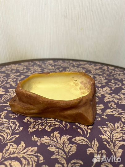 Террариум для рептилий