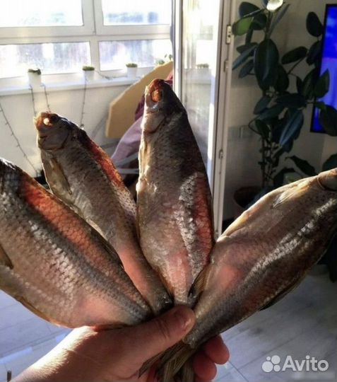 Вобла астраханская (вяленая рыба)