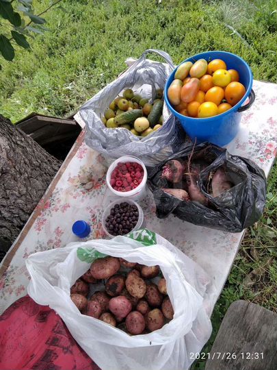 Участок 7,5 сот. (СНТ, ДНП)