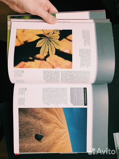 Композиция в цифровой фотосъемке (Крис Раттер)