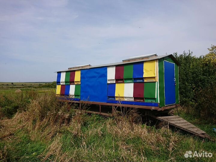 Пчелопавильон