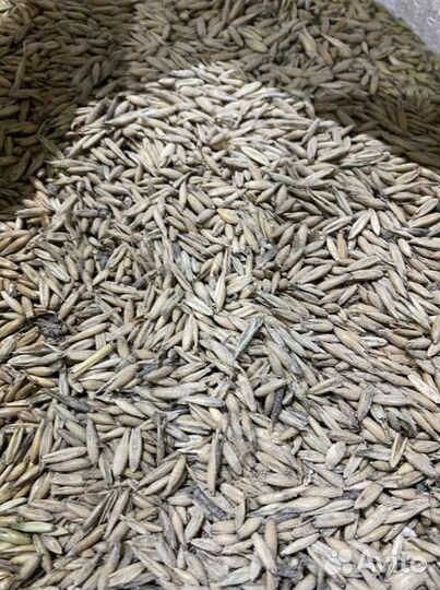 Комбикорм для кур и свиней. Экструдированный корм