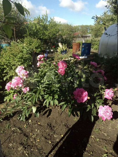 Дом 20 м² на участке 4 сот.