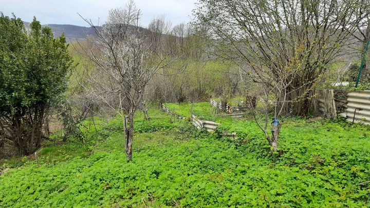 Участок 6 сот. (СНТ, ДНП)