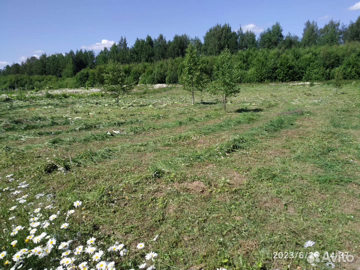 Покос травы триммером, спил деревьев