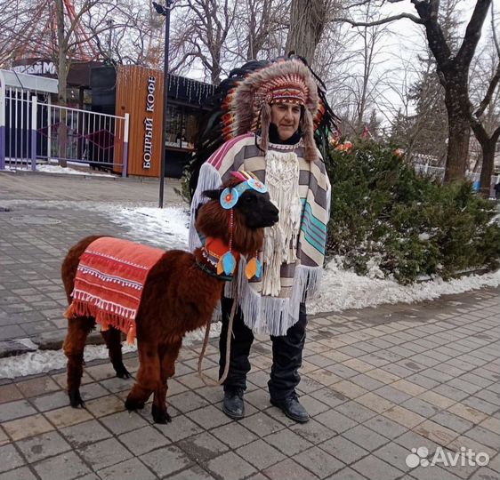 Аниматоры