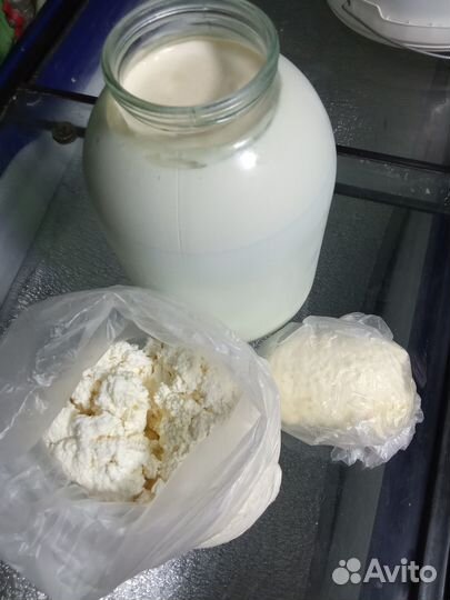 Молоко коровье,творог,сыр