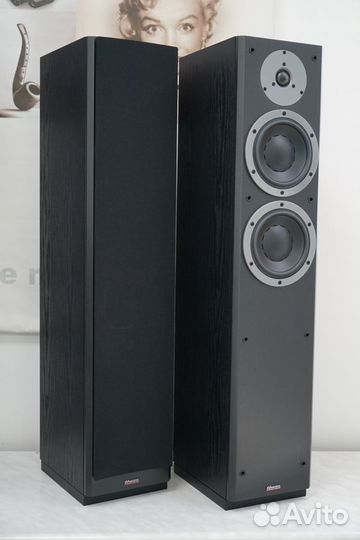 Dynaudio DM 37