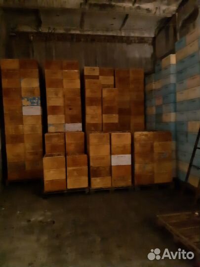 Сушь пчелиная, рамки рута и магазинные