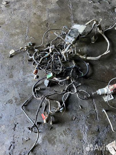 Проводка двс Ford Focus 2 (DB) 2008-2011г DB