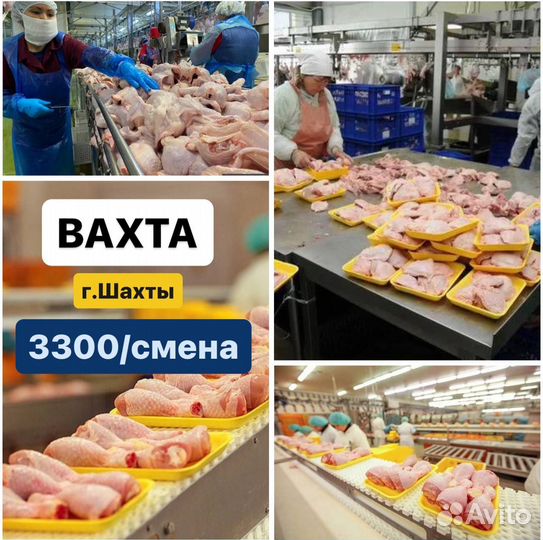 Вахта в Ростовская обл. Сортировщик