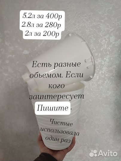 Горшок для цветов, дисхидия, сциндапсус