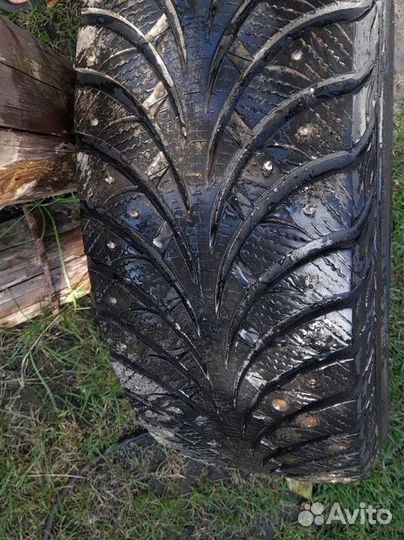 Sava Eskimo Stud 165/65 R16