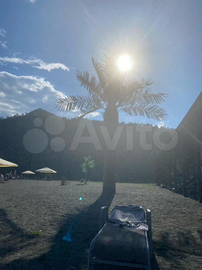 Участок 1,01 га (СНТ, ДНП)