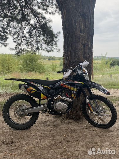BSE Z5 Storm