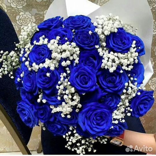 Синие розы 25 51 101 с доставкой